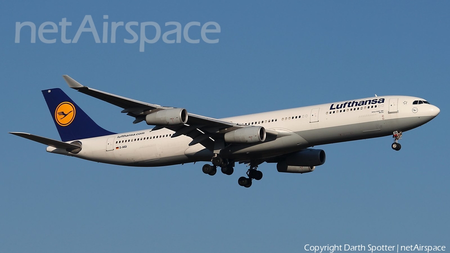 Lufthansa Airbus A340-311 (D-AIGI) | Photo 129095
