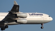 Lufthansa Airbus A340-311 (D-AIGI) at  Frankfurt am Main, Germany