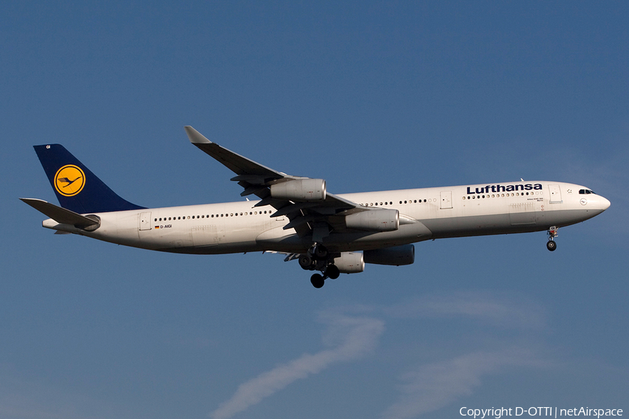 Lufthansa Airbus A340-311 (D-AIGI) | Photo 272420