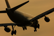 Lufthansa Airbus A340-311 (D-AIGI) at  Frankfurt am Main, Germany