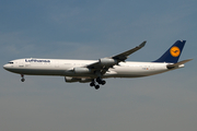 Lufthansa Airbus A340-311 (D-AIGK) at  Frankfurt am Main, Germany