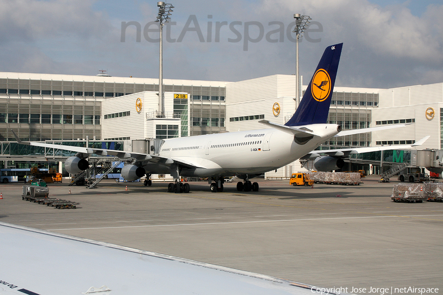Lufthansa Airbus A340-311 (D-AIGK) | Photo 438762