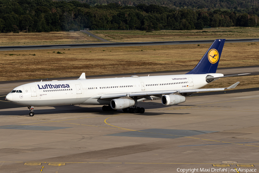 Lufthansa Airbus A340-313X (D-AIGL) | Photo 524834