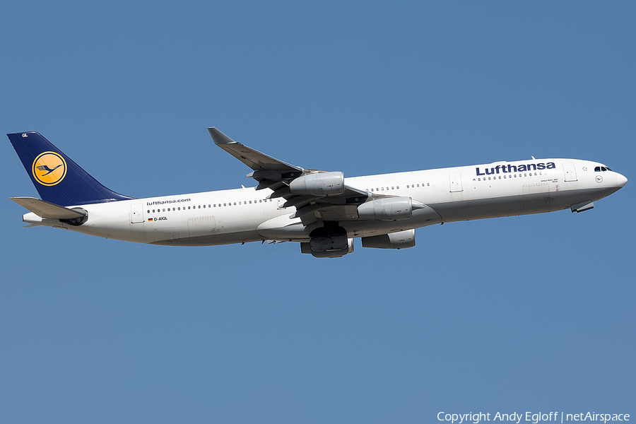 Lufthansa Airbus A340-313X (D-AIGL) | Photo 510385