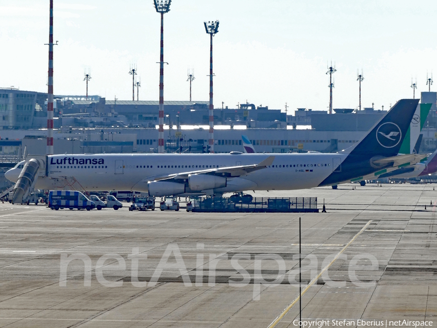 Lufthansa Airbus A340-313X (D-AIGL) | Photo 614287