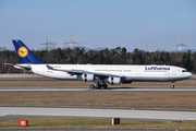 Lufthansa Airbus A340-313X (D-AIGL) at  Frankfurt am Main, Germany