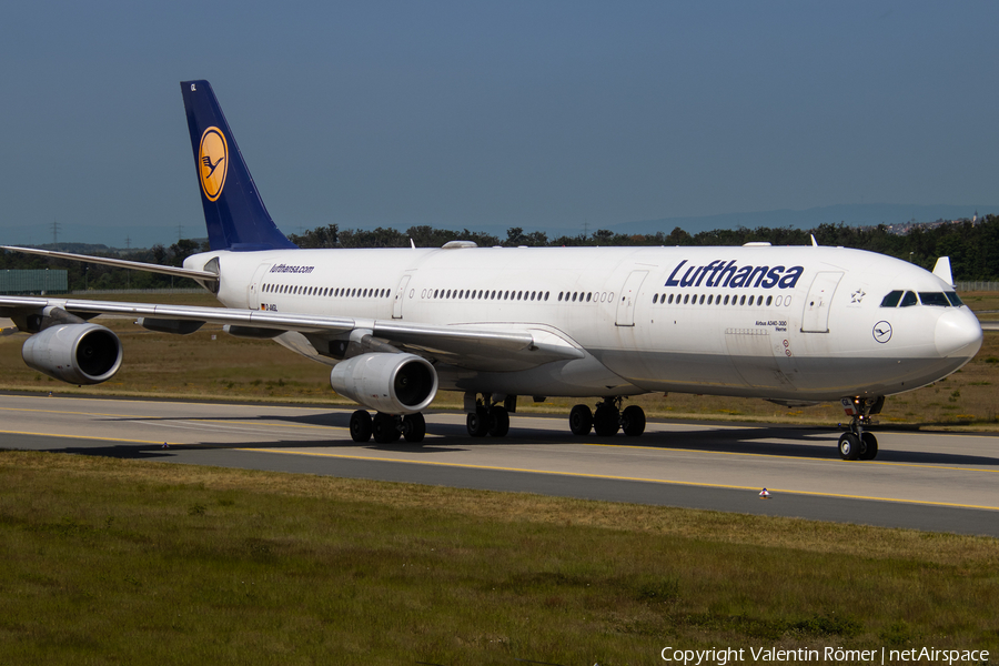 Lufthansa Airbus A340-313X (D-AIGL) | Photo 509866