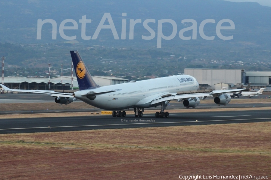 Lufthansa Airbus A340-313X (D-AIGL) | Photo 252017