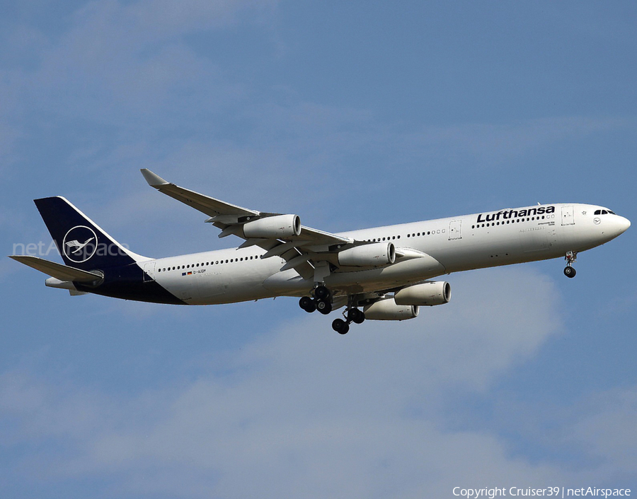 Lufthansa Airbus A340-313X (D-AIGM) | Photo 535627