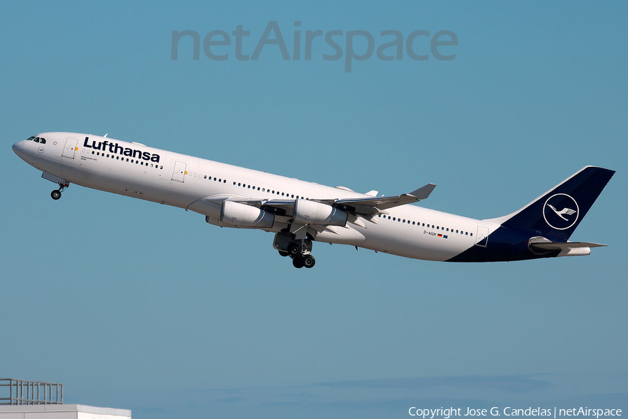 Lufthansa Airbus A340-313X (D-AIGM) | Photo 529956