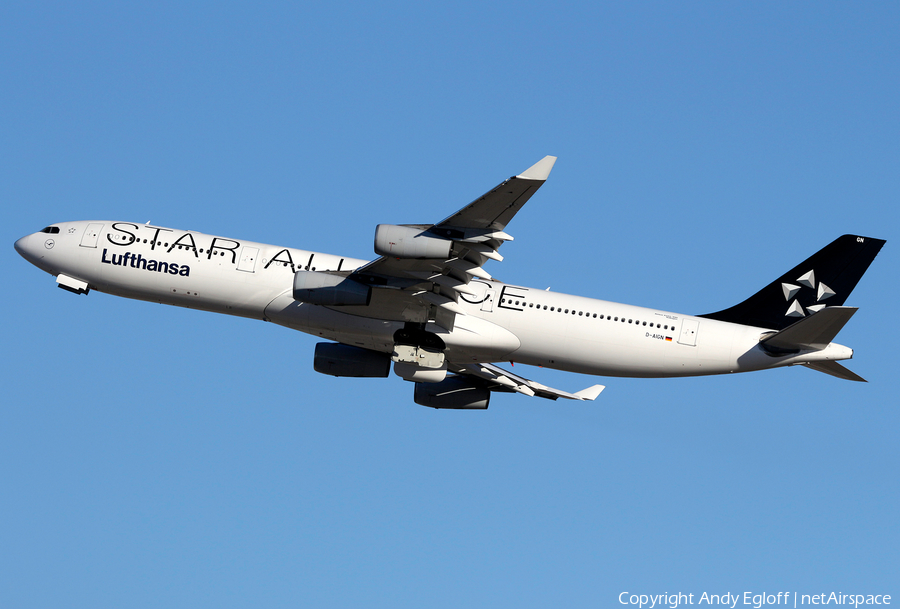Lufthansa Airbus A340-313X (D-AIGN) | Photo 379407