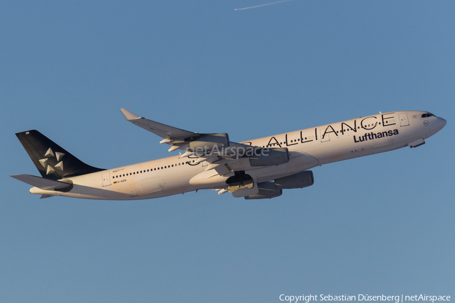 Lufthansa Airbus A340-313X (D-AIGN) | Photo 116811