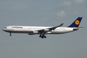 Lufthansa Airbus A340-313X (D-AIGN) at  Frankfurt am Main, Germany
