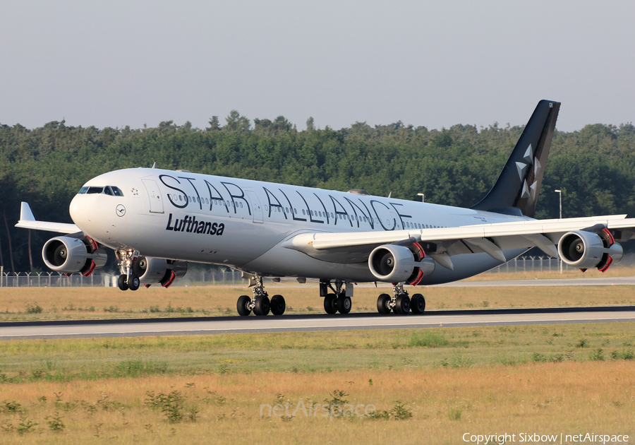 Lufthansa Airbus A340-313X (D-AIGN) | Photo 258023