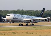 Lufthansa Airbus A340-313X (D-AIGN) at  Frankfurt am Main, Germany