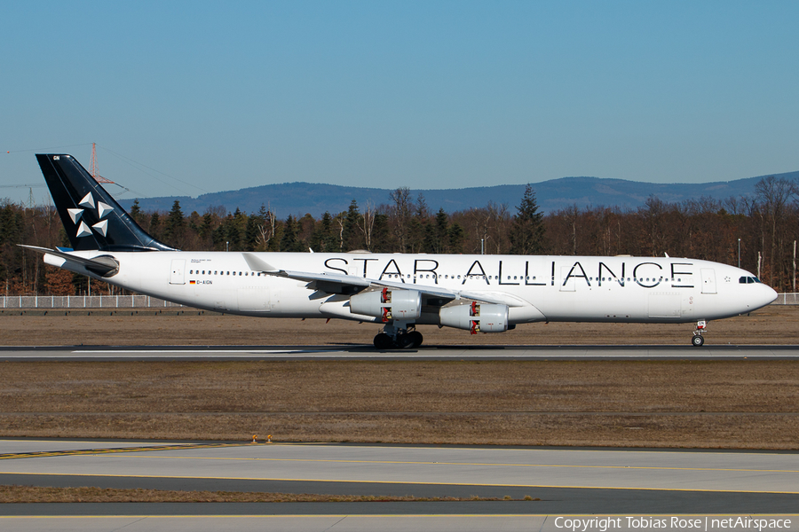 Lufthansa Airbus A340-313X (D-AIGN) | Photo 304810