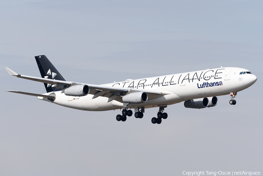 Lufthansa Airbus A340-313X (D-AIGN) | Photo 500157