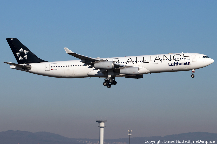 Lufthansa Airbus A340-313X (D-AIGN) | Photo 501653
