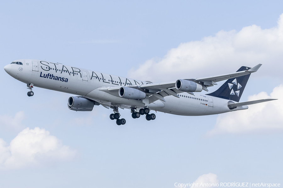 Lufthansa Airbus A340-313X (D-AIGN) | Photo 640491