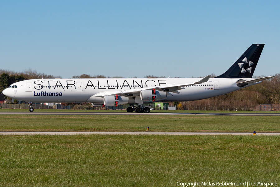 Lufthansa Airbus A340-313X (D-AIGN) | Photo 378237