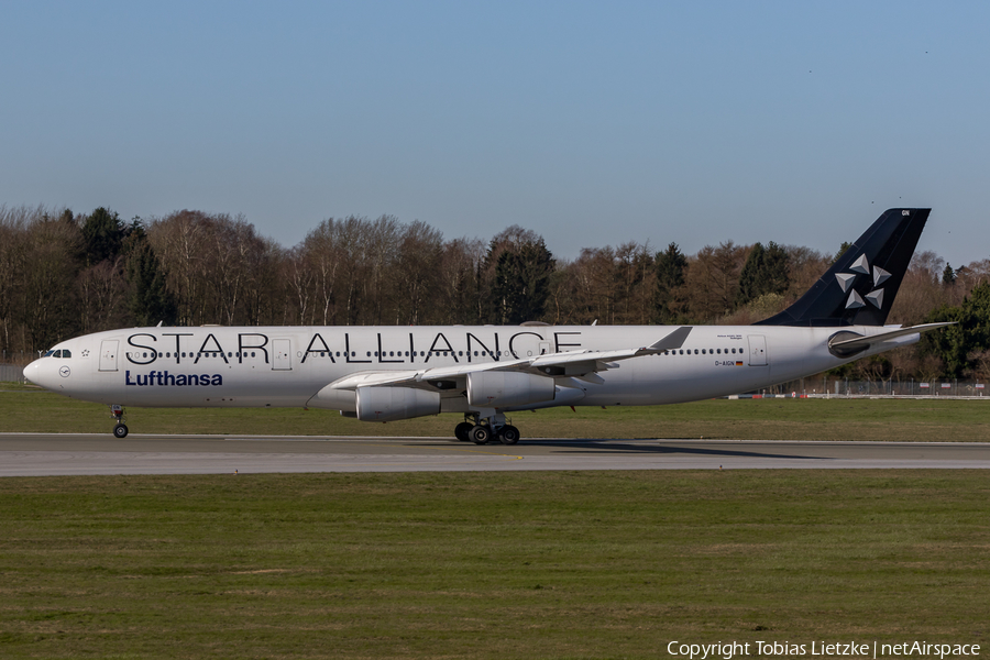 Lufthansa Airbus A340-313X (D-AIGN) | Photo 378244