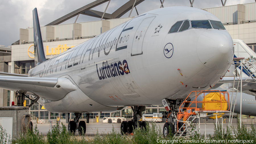 Lufthansa Airbus A340-313X (D-AIGN) | Photo 392881