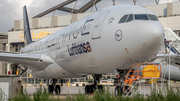 Lufthansa Airbus A340-313X (D-AIGN) at  Hamburg - Fuhlsbuettel (Helmut Schmidt), Germany