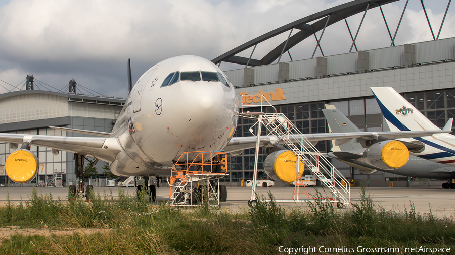 Lufthansa Airbus A340-313X (D-AIGN) | Photo 392882