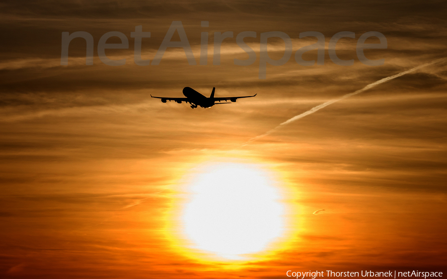 Lufthansa Airbus A340-313X (D-AIGN) | Photo 236014