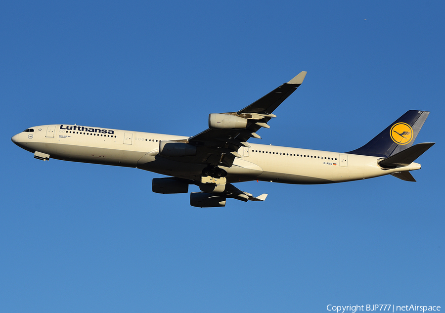 Lufthansa Airbus A340-313X (D-AIGO) | Photo 482033