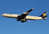 Lufthansa Airbus A340-313X (D-AIGO) at  Dallas/Ft. Worth - International, United States