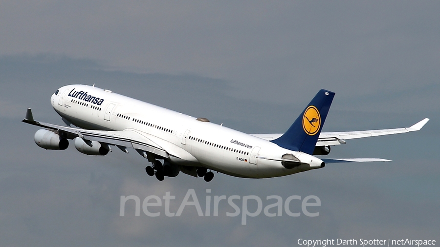 Lufthansa Airbus A340-313X (D-AIGO) | Photo 206904