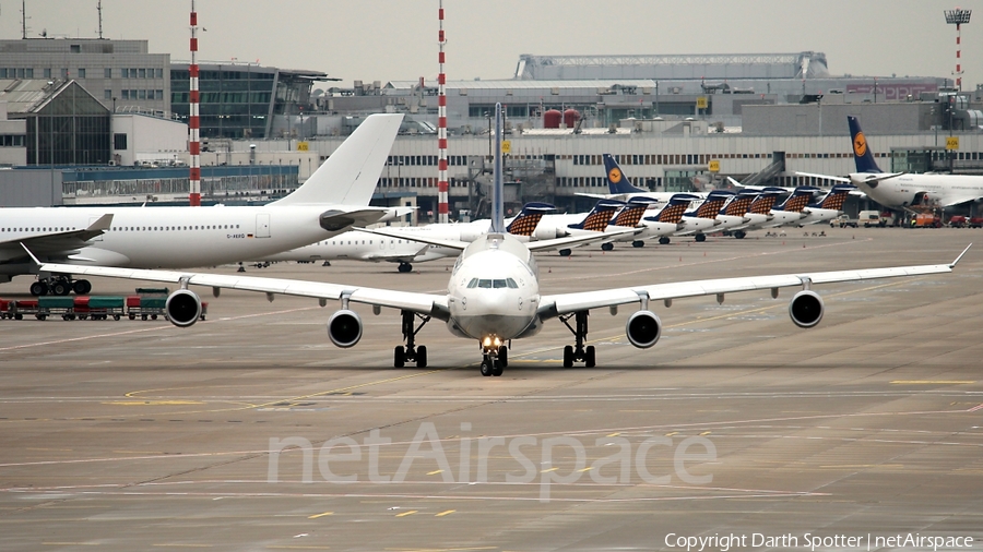 Lufthansa Airbus A340-313X (D-AIGO) | Photo 207974