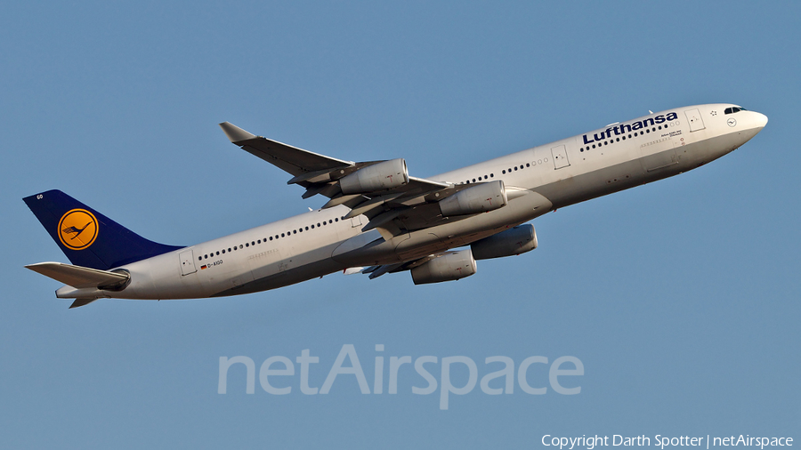 Lufthansa Airbus A340-313X (D-AIGO) | Photo 324006