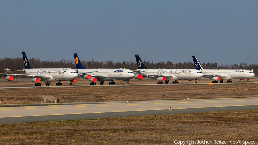 Lufthansa Airbus A340-313X (D-AIGO) | Photo 380566