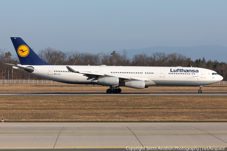 Lufthansa Airbus A340-313X (D-AIGO) | Photo 502413