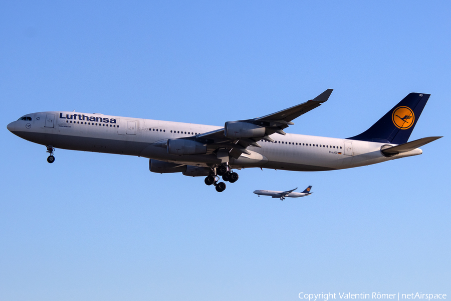 Lufthansa Airbus A340-313X (D-AIGO) | Photo 510442