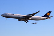 Lufthansa Airbus A340-313X (D-AIGO) at  Frankfurt am Main, Germany