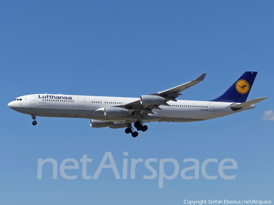 Lufthansa Airbus A340-313X (D-AIGO) | Photo 516665