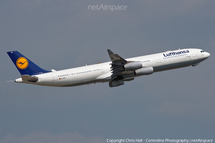 Lufthansa Airbus A340-313X (D-AIGO) | Photo 54143