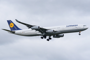 Lufthansa Airbus A340-313X (D-AIGO) at  Frankfurt am Main, Germany