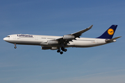 Lufthansa Airbus A340-313X (D-AIGO) at  Frankfurt am Main, Germany