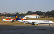 Lufthansa Airbus A340-313X (D-AIGO) at  Sao Paulo - Guarulhos - Andre Franco Montoro (Cumbica), Brazil