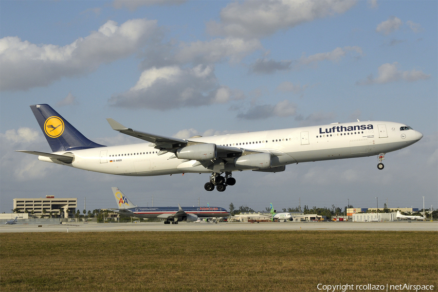 Lufthansa Airbus A340-313X (D-AIGO) | Photo 13559