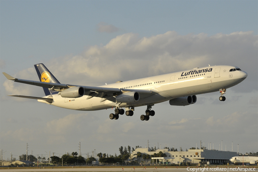 Lufthansa Airbus A340-313X (D-AIGO) | Photo 19230