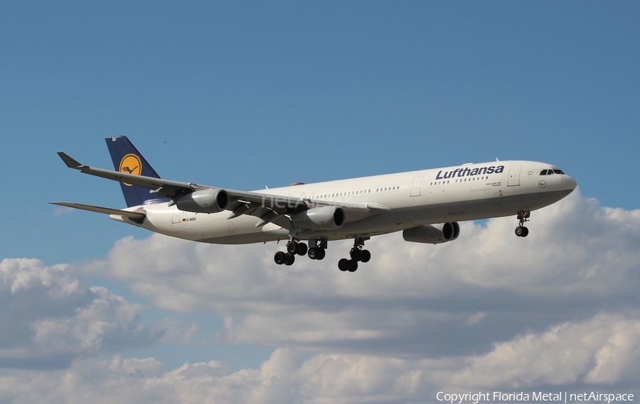 Lufthansa Airbus A340-313X (D-AIGO) | Photo 297907