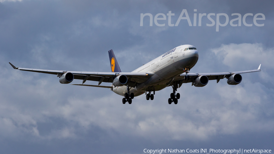 Lufthansa Airbus A340-313X (D-AIGO) | Photo 381979