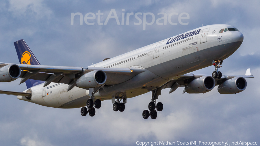 Lufthansa Airbus A340-313X (D-AIGO) | Photo 381980