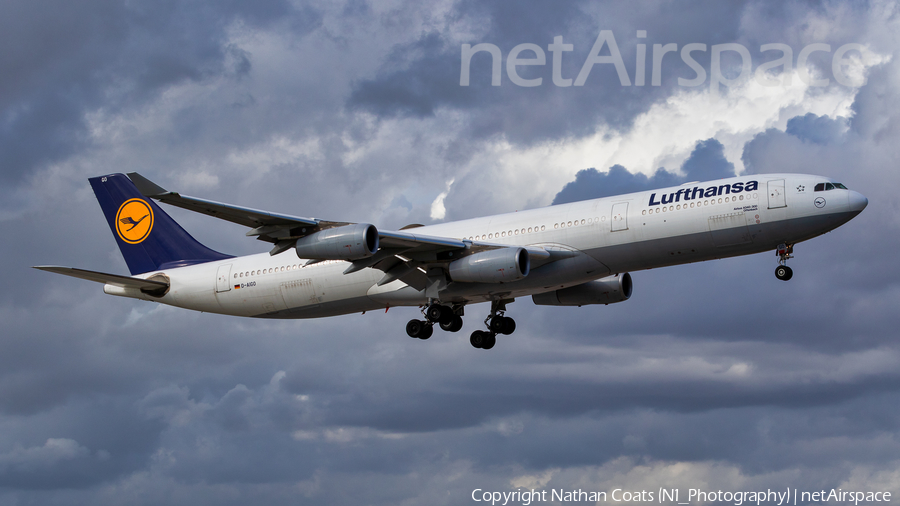 Lufthansa Airbus A340-313X (D-AIGO) | Photo 381981