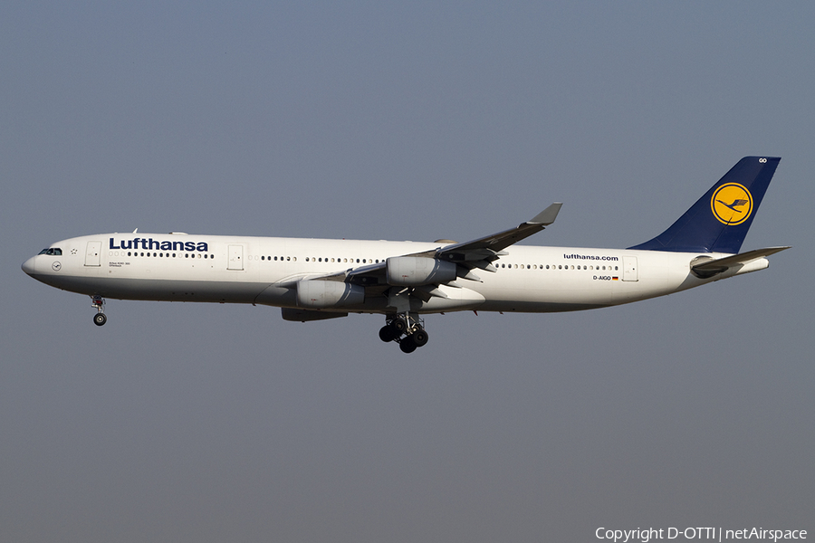 Lufthansa Airbus A340-313X (D-AIGO) | Photo 379344